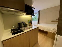 Mount Elizabeth Link (D9), Condominium #466085581